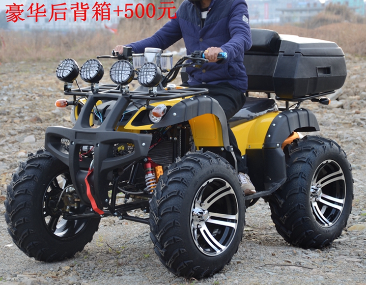 Tất cả các địa hình 250 làm mát bằng nước lớn bull ATV bốn bánh off-road xe máy dành cho người lớn xăng xe đạp leo núi trục truyền