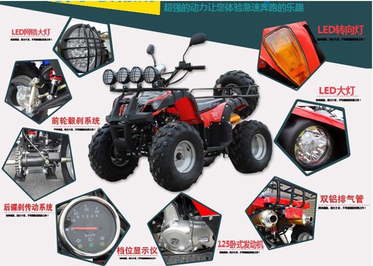 Tất cả các địa hình 250 làm mát bằng nước lớn bull ATV bốn bánh off-road xe máy dành cho người lớn xăng xe đạp leo núi trục truyền