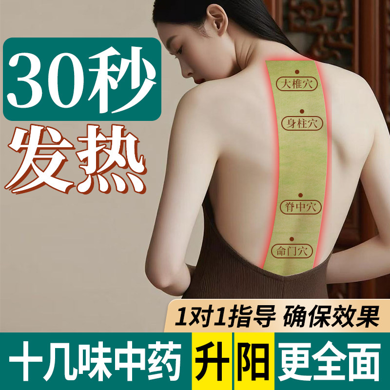 龙骨灸凤脉贴颈椎腰背督脉灸艾草贴手膝盖背部全身温灸贴艾灸贴