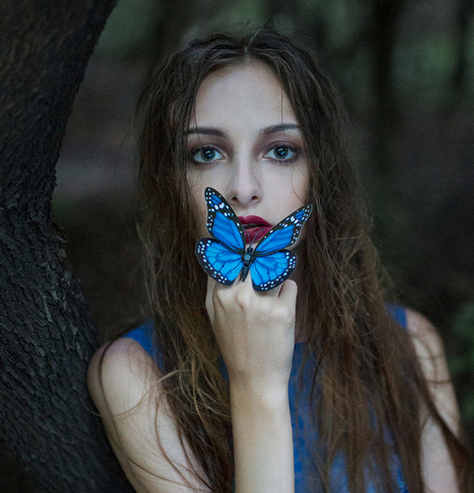 Foreign Jingsen Writing True Butterfly Props Meritocratic Blue Butterfly Han Style Exterior View Brigade Pat the Han-style photo gallery Write a real prop