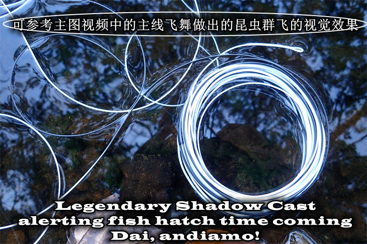 Zebra 33 Shadow cast flying line 65 feet for the throwing clouds only