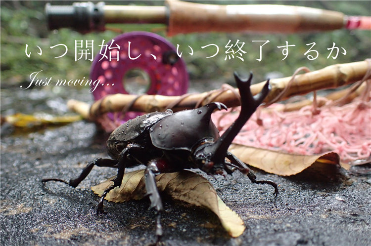 HUBLESS Classical Fly Fishing Wheel Witness your ageless mythical time machine Love Peacefully