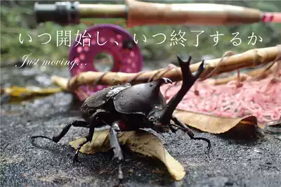 HUBLESS classical flying fishing wheel to witness your disenchant words of Time Machine Love Peacefully