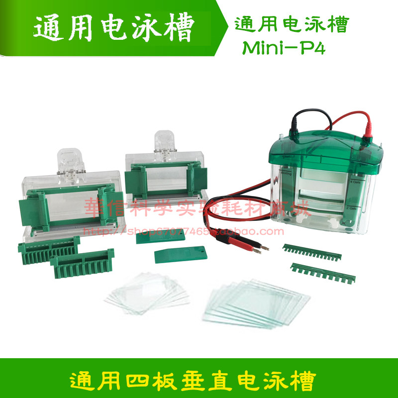 通用美国伯乐 Bio-Rad Mini Protean 小型垂直电泳槽 1658001