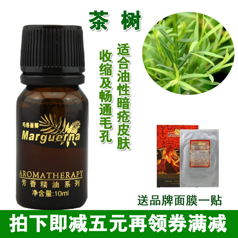 Tinh dầu tràm Margarina V080 10ml Công ty Huaxin Chính hãng Beauty Beauty Bán độc quyền - Tinh dầu điều trị