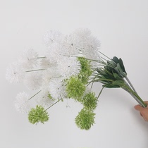 Wedding Mori simulation green onion Ball flower ping pong chrysanthemum dandelion Snowball 5 big head wedding decoration scene layout green plant