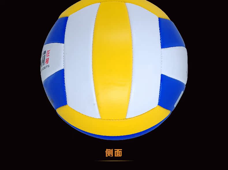 Ballon de volley - Ref 2008207 Image 12