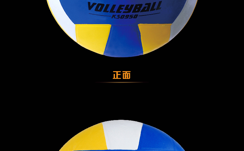 Ballon de volley-ball - Ref 2008003 Image 6