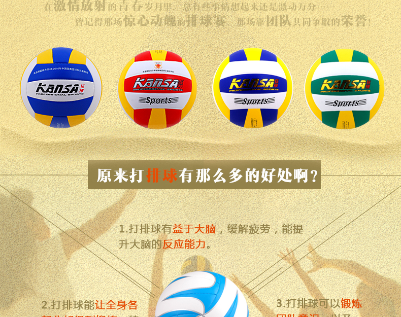 Ballon de volley - Ref 2008571 Image 3