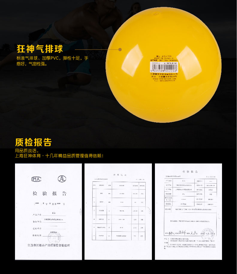 Ballon de volley-ball - Ref 2008211 Image 11