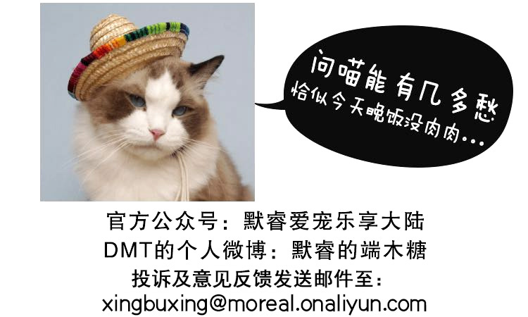 Thức ăn cho mèo Bailey No Valley Salmon 10 lbs Bản năng Mèo nhập khẩu Thực phẩm tự nhiên Gói thực phẩm - Cat Staples whiskas cho mèo con