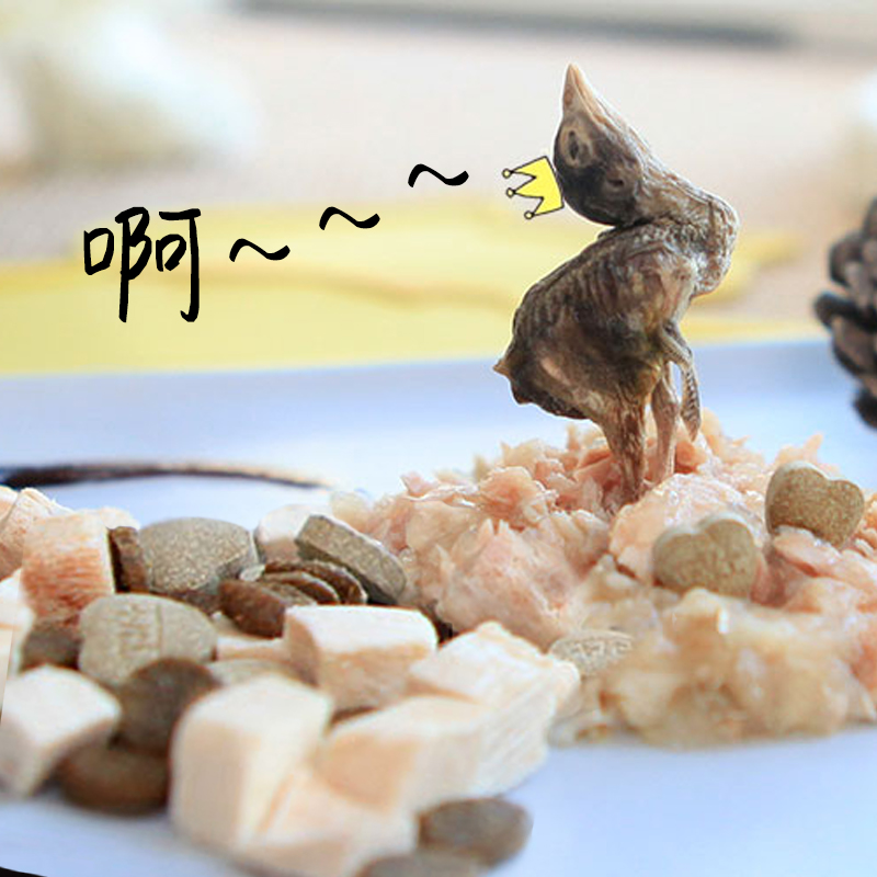 Freeze-dried large collection of Beloved Quail Beef Small Fish Dried Chicken Duck Meat Salmon Salmon Cat Snacks Nutrition Fatter-Taobao