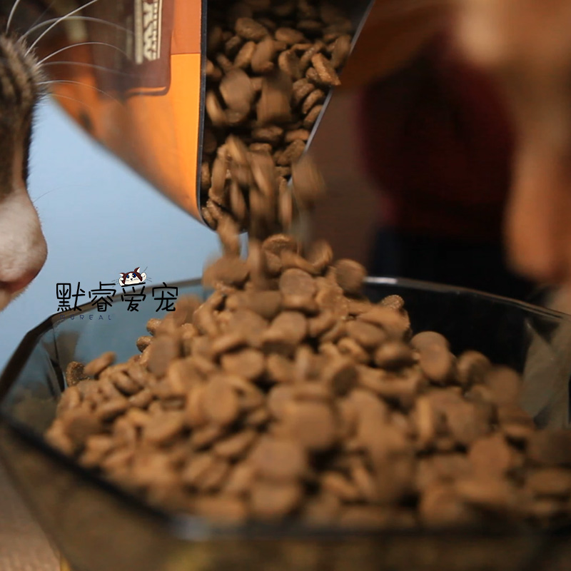 Love Kenna Cat Food Canada Nhập khẩu ACANA Cat Food Chicken 5.4kg Natural Valley Cat Food Whole Cat Food - Cat Staples hạt cho mèo