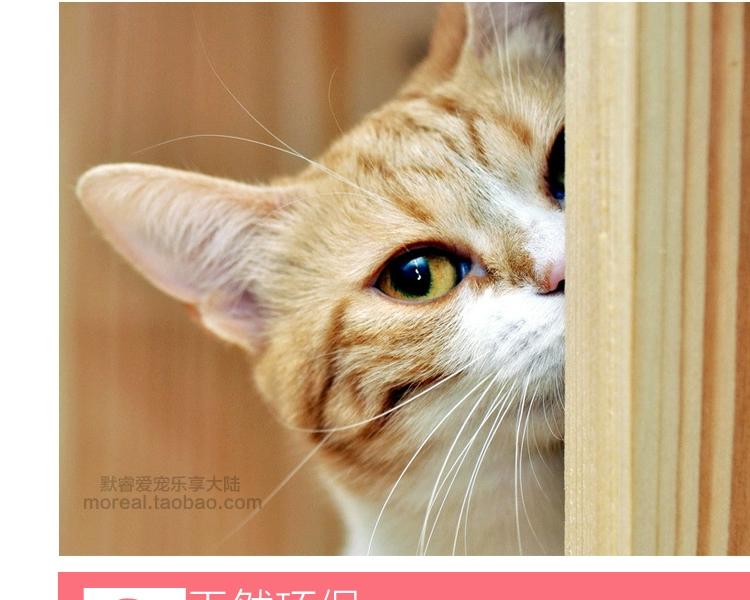 CAT Mèo Đức CAT "> <kiểu đầu vào = - Cat / Dog Beauty & Cleaning Supplies