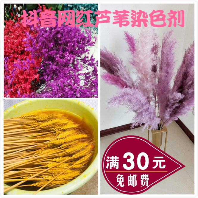 Dried Flower DIY Materials, Eco-Friendly Dye, Handmade Paper Dye, Reed, Barley Spike, Pampas Grass, Silver Willow Dye, Red Egg Dye