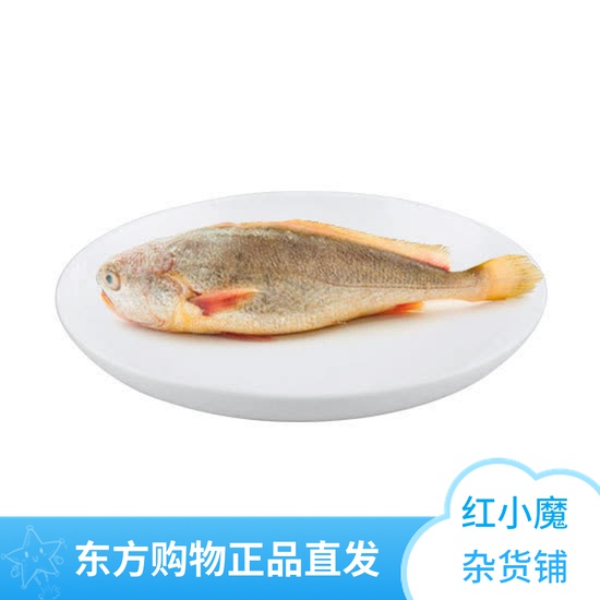 Azhu fresh brine Zhoushan large yellow croaker value special group 310g*5 bags free pomfret Oriental CJ ​​shopping straight
