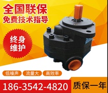 CB-FD25-FL series gear pump from stock