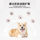 New Chongzhikang dog anthelmintic drug in vivo and in vitro cat fleas pet cats and dogs ticks ພິເສດໃນ vitro drops