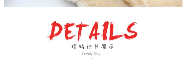 Quần áo cho chó Quần áo mùa thu và mùa đông Pomeranian gấu bốn chân Quần áo Teddy quần áo cún con chó con ấm áp cộng với quần áo nhung - Quần áo & phụ kiện thú cưng áo chó