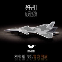 Flying to the North National Competition Science and Technology Festival 3 J-20 Veyrons High Simulation Flying Stealth Fighter Liu Dong Paper Plane