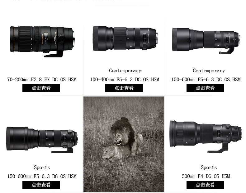 Sigma / Sigma 120-300mm F2.8 Hệ điều hành chống rung Máy ảnh toàn khung máy ảnh ống kính tele ống kính tele