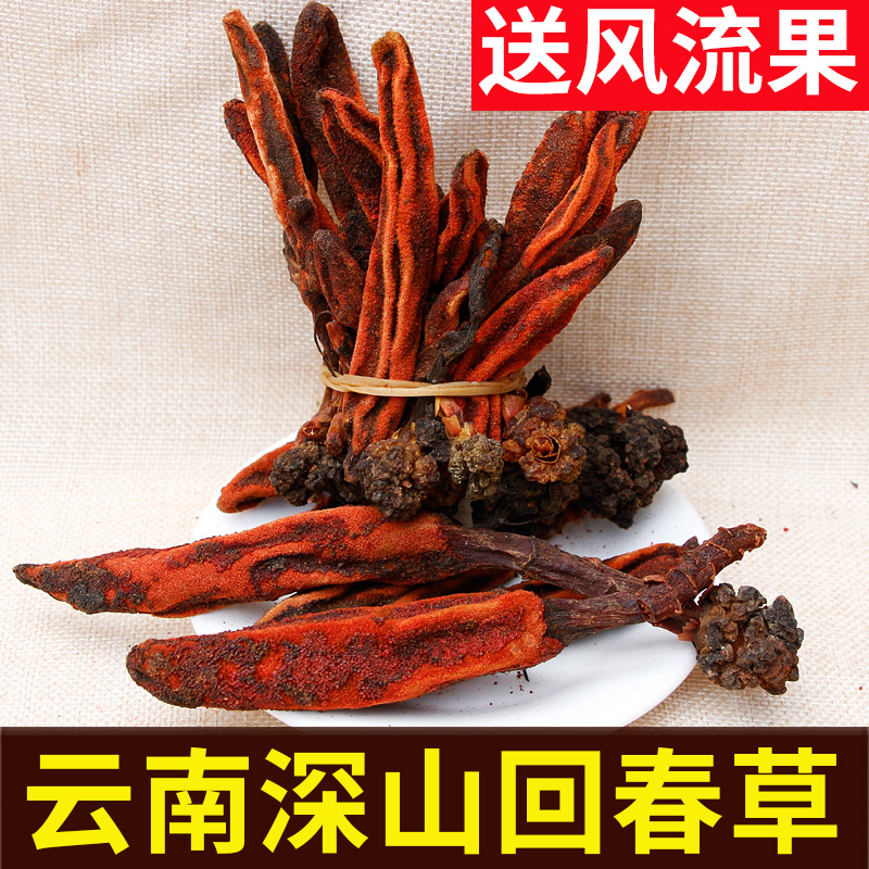 Yunnan back to spring grass 500g grass Grass Cistanche Deservette not old grass cistanche Cistanche Lock Yang Masculine Bubble material
