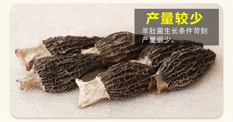 卓玛拉 云南野生羊肚菌干 50g 泡发后相当于500g鲜羊肚菌 图4