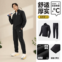 Осенний комплект, толстовка, штаны