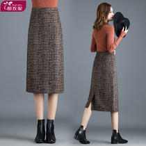 Autumn and winter woolen straight skirt skirt womens winter skirt new a-shaped one-step dress female spring dress long dress