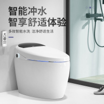 Zhengshan Dashili automatic toilet voice hip washing multifunctional ceramic bathroom smart home deodorant toilet