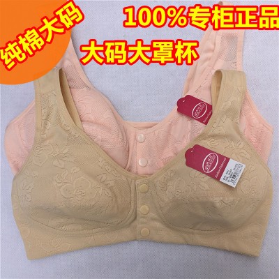 2 pieces of Panelli thin mold cup middle-aged and elderly without steel ring vest style large size cotton C cup bra underwear 8637