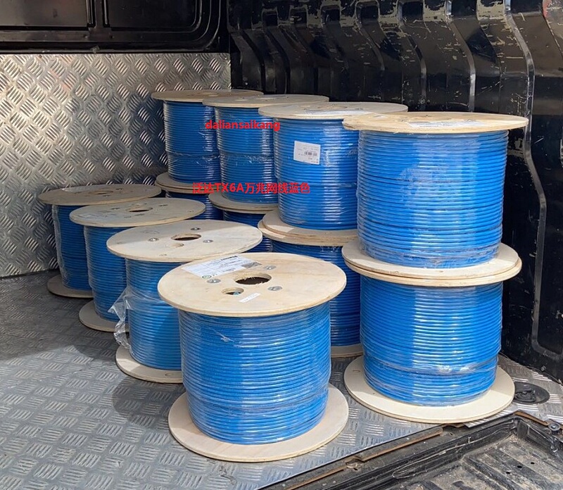 Genuine Panduit Category 6A Shielded Network Cable Tx6A 10g Pul6Ahd04Bu-Eg/Low Smoke Halogen-Free Flame Retardant