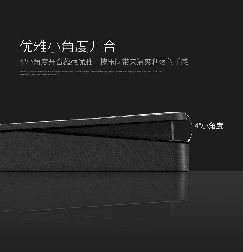 Black Switch_20.jpg