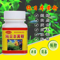Fish tank aquarium Japanese yellow powder fish medicine sterilization disinfectant water mildew treatment of white spot net fish medicine disease treatment