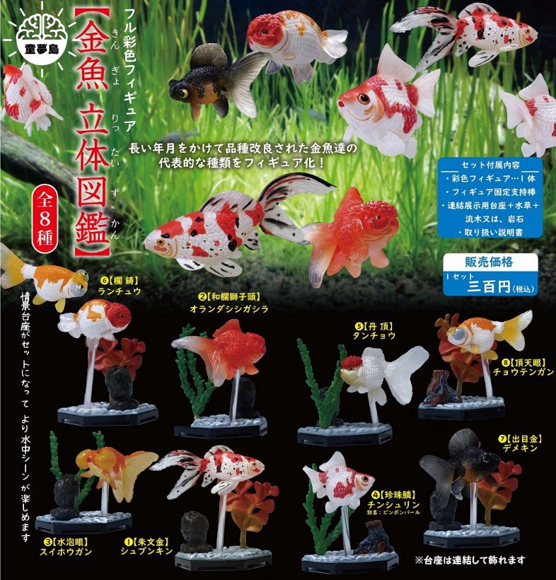 Beam扭蛋金魚立體圖鑑迷你金魚場景扭蛋蘭壽水泡眼丹頂