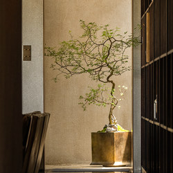 Simulated Green Plants Indoor Classy Accessible Luxury Yellow Vitex Bionic Plants Fake Trees Floor-Standing Potted Real Tree Pole Decorative Ornaments