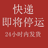 Экспресс должен быть приостановлен [доставка в течение 24 часов]