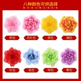 12 -Year -Sold Shop более 20 цветов