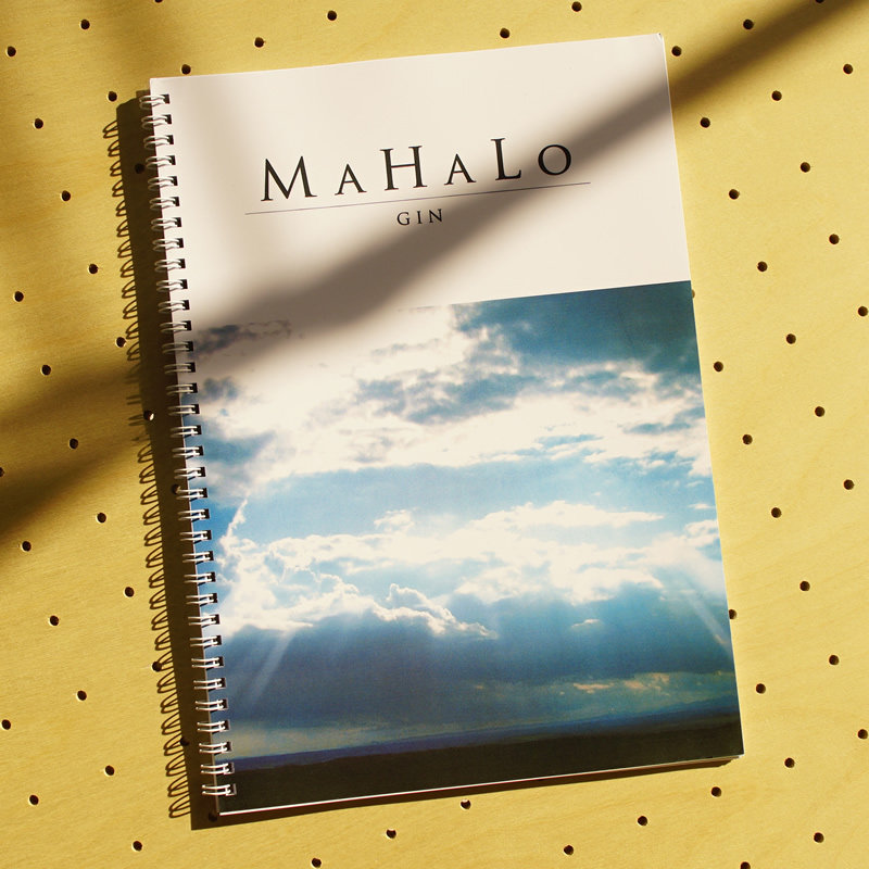 GIN MAHALO is a guide spectrum six spectrum album solo Chinese textbook tutorial delivery audio