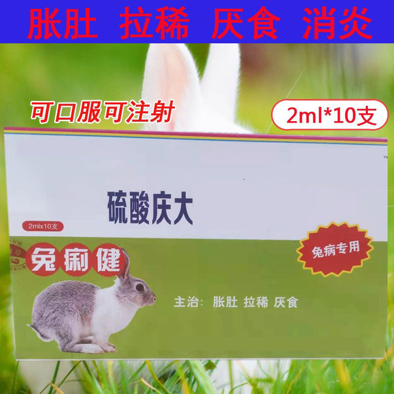 Rabbit standing Rabbit dysentery Jian gentamicin injection rabbit disease special abdominal distension diarrhea anorexia enteritis can be taken orally