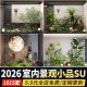 Indoor Landscape Design, Modern Courtyard Features, Micro-Landscape, Micro-Terrain, Plant Mini-Landscapes, Sketchup Model