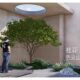 Clustered osmanthus, camphor, sophora japonica, garden small tree, hackberry, tallow tree, maple tree, eucalyptus tree, elm tree, street tree SU model