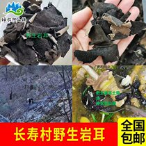 Shennong Shelf Changshou village rock ear dry cargo stone ear farmhouse self-produced alpine stone otolite stone wall flower soup cooking material