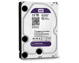 Western Digital 6T Purple Disk