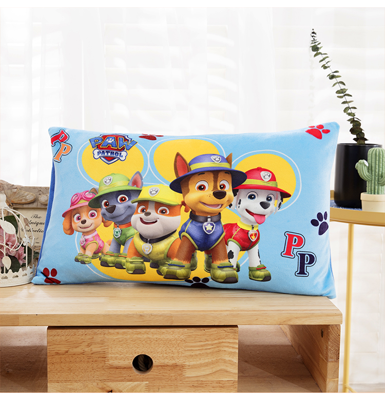 Áo trẻ em nhung san hô 30 * 50 flannel nhung phim hoạt hình mẫu giáo sang trọng dễ thương cộng với gối nhung - Gối trường hợp gối trúc