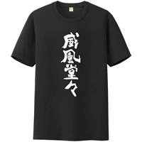Weifeng Town Black T