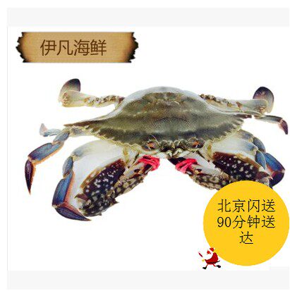 Beijing Flash Sends Flying Crab, Winter Crab, Portunus Crab, Orchid Crab, Sea Crab Full of Meat and Yellow 7 Two to Sell Only