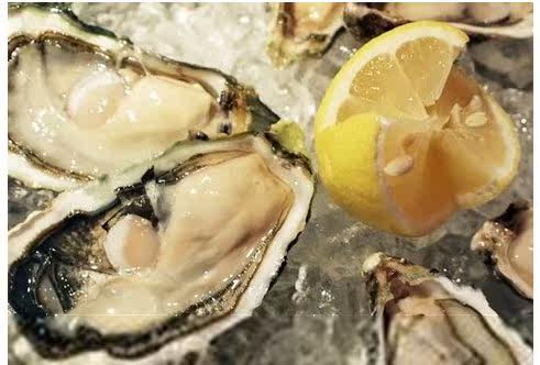 Irish oysters are fresh, fat, full, open oyster sashimi