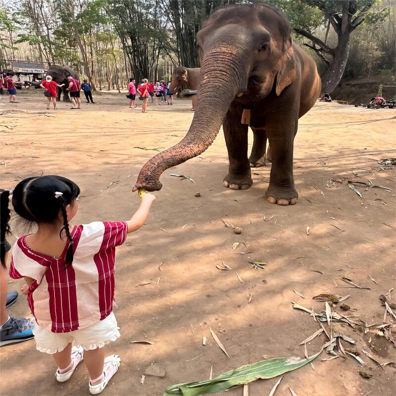 格格妈妈泰国购