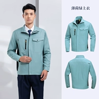 Монетный зеленый вершина